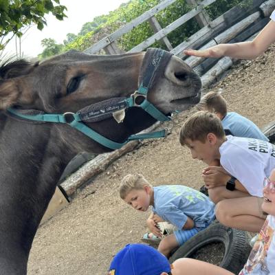 „W drogę czas…” - dzień piąty