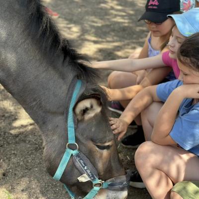 „W drogę czas…” - dzień piąty