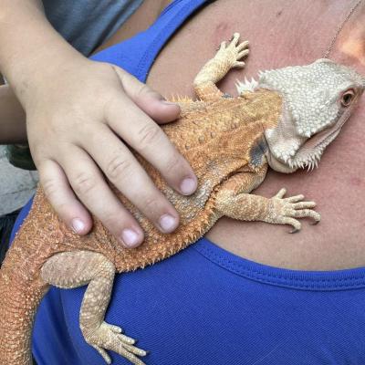 „W drogę czas…” - dzień piąty