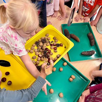 550708305 1214468187385206 6893174900233838860 N