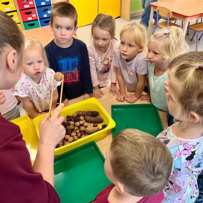 552442708 1214468150718543 6751598465069225875 N