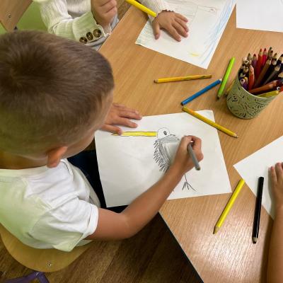 558064656 1220611210104237 2423815568161414590 N