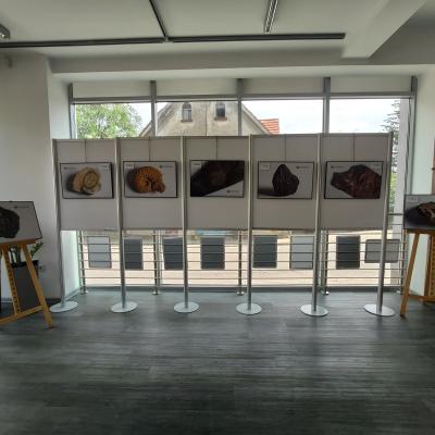 Wystawa najpopularniejszych skał i minerałów występujących w rejonie Pieszyc