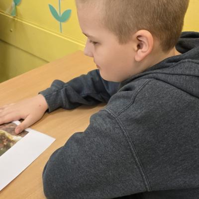 647690716 1351210733710950 8615571649405943576 N