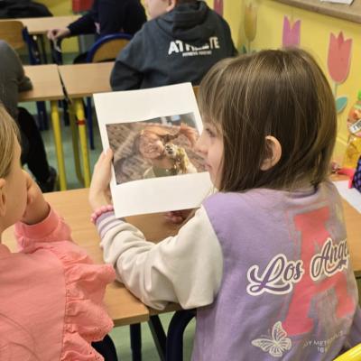 647704891 1351210783710945 7519988811701808702 N