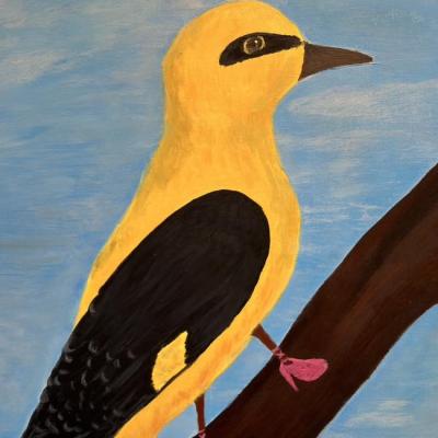 654197189 1363290125836344 5833033974345350700 N