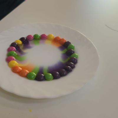 667781779 1380580290773994 4278029345048833176 N