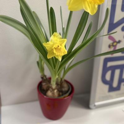 672350750 1384501397048550 6417922587156517832 N