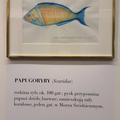 672672310 1386403103525046 6970795067765416184 N