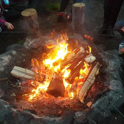  Czy sójka wybiera się za morze? Czy każdy dudek ma swój czubek?