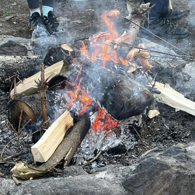  Czy sójka wybiera się za morze? Czy każdy dudek ma swój czubek?