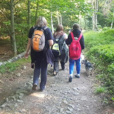  Czy sójka wybiera się za morze? Czy każdy dudek ma swój czubek?