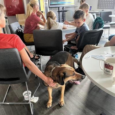  Czy sójka wybiera się za morze? Czy każdy dudek ma swój czubek?