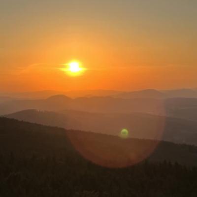  Czy sójka wybiera się za morze? Czy każdy dudek ma swój czubek?