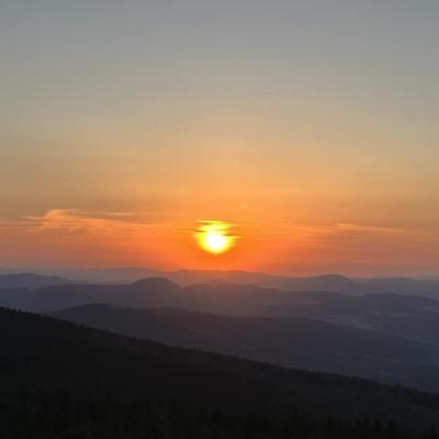  Czy sójka wybiera się za morze? Czy każdy dudek ma swój czubek?