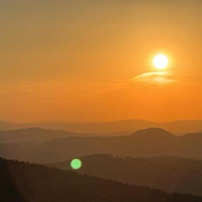  Czy sójka wybiera się za morze? Czy każdy dudek ma swój czubek?