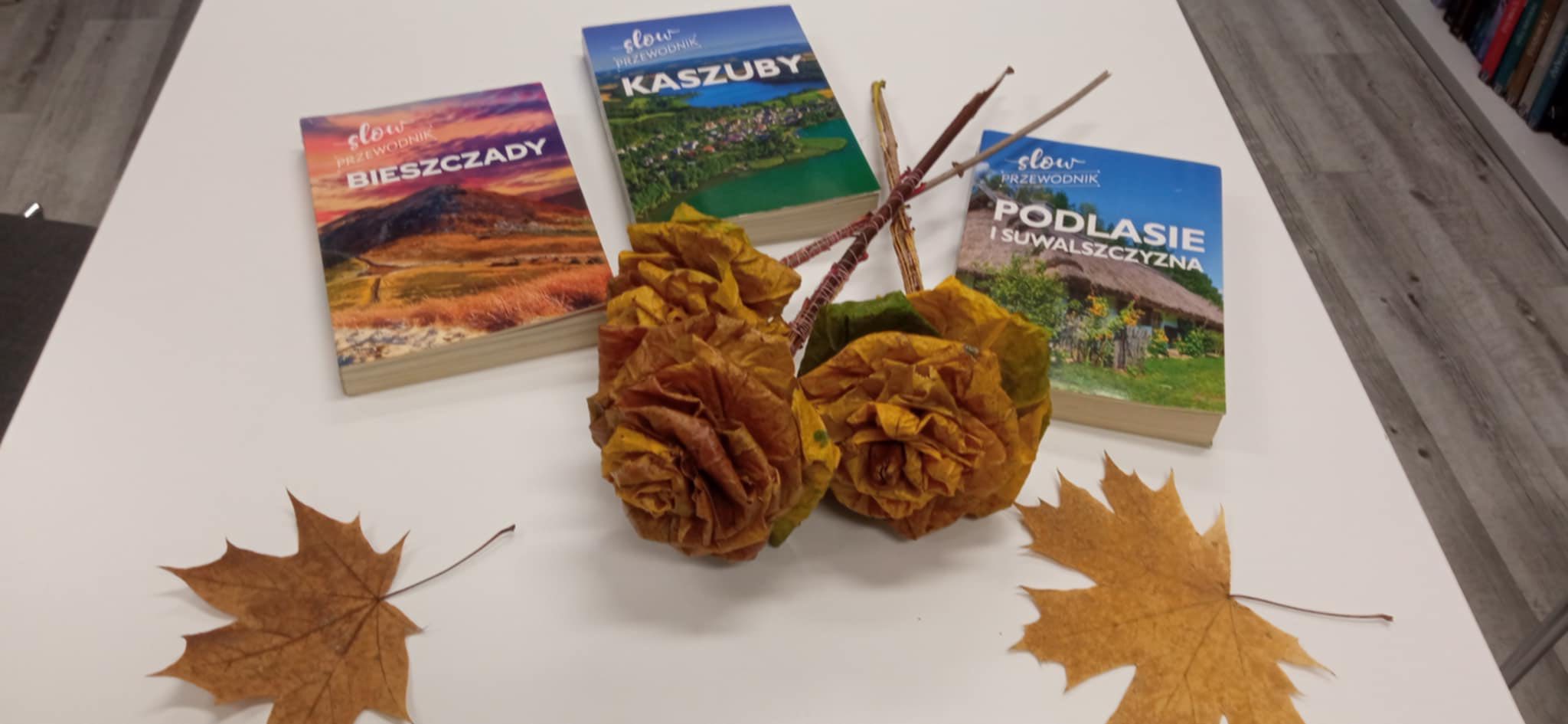 584978168 1263904659108225 7013274446820715426 n