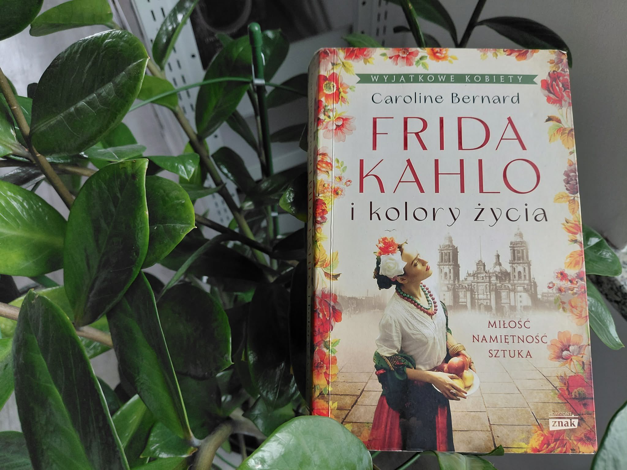 657277287 1365789405586416 1078175804912838536 n